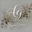AG Digital Canvas logo